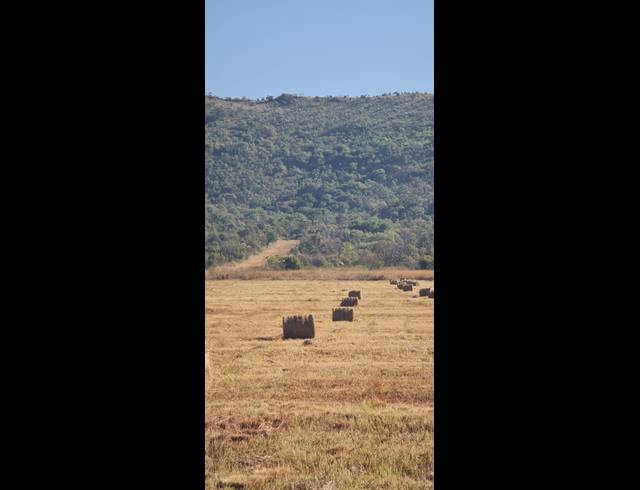 78HA VACANT LAND FOR SALE IN BUFFELSFONTEIN AH